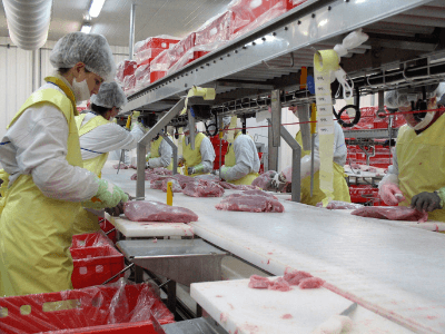 Польша требуются рабочие на птицефабрику на разделку цыплят