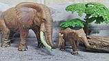 Набор животных "Сафари" Семейство слонов, фото 3