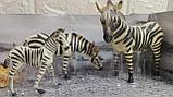 Набор животных "Сафари" Тигры и Зебры, фото 3