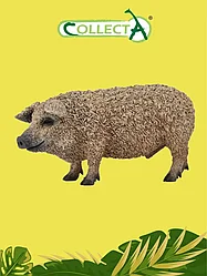Collecta Фигурка Венгерская свинка, 10 см. 88674