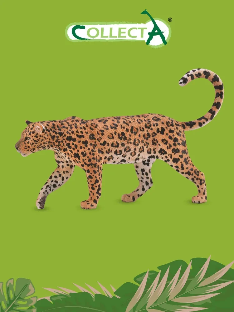 Collecta Фигурка Леопард Африканский, 13 см. 88866