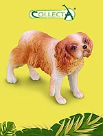 Collecta Фигурка собака Кинг Чарльз спаниель, 5 см. 88181