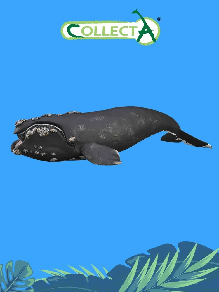 Collecta Фигурка Южный кит, 25 см. 88740 - фото 1 - id-p111389225