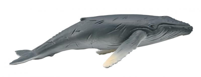 Collecta Фигурка Горбатый кит детёныш, 10 см. 88963 - фото 1 - id-p111389839