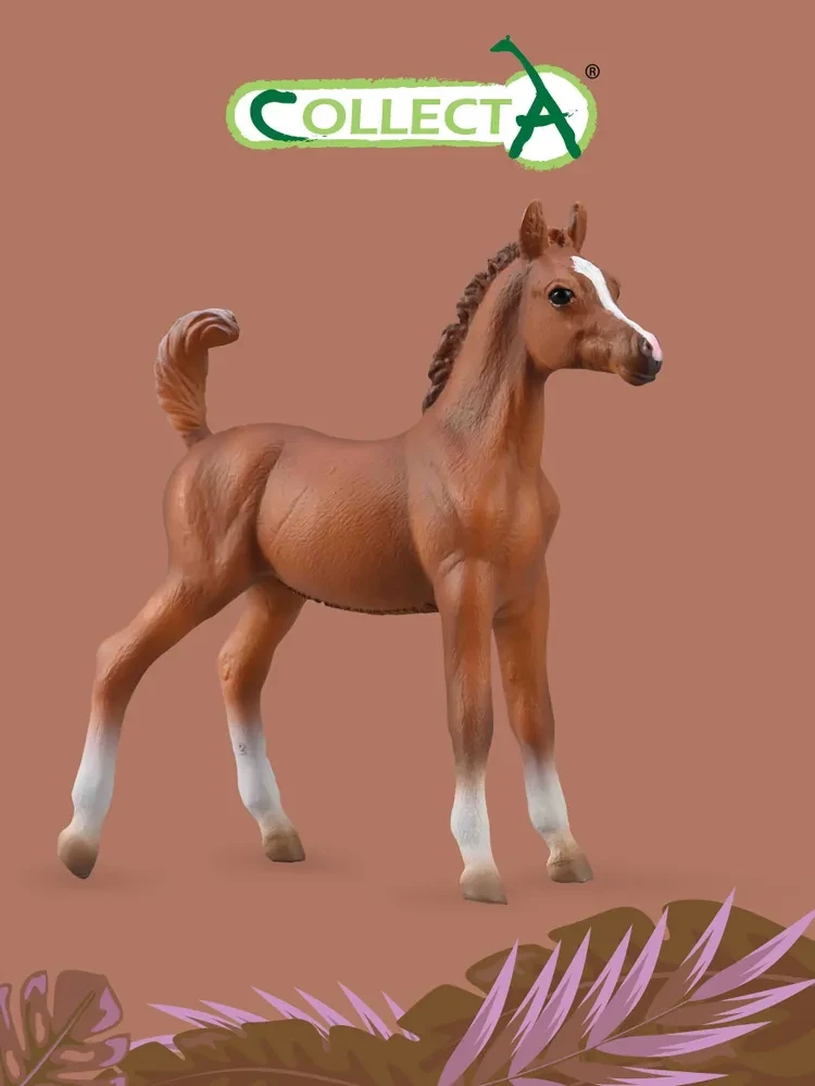 Collecta Фигурка Жеребенок лошади Арабской - каштановый, 10 см. 88992b - фото 1 - id-p111389844