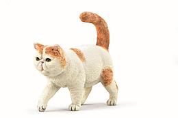 Collecta Фигурка Экзотическая короткошерстная кошка, 5 см. 88937