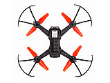 Радиоуправляемый квадрокоптер «SKY LEGEND FPV», фото 8