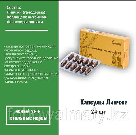 Линчжи капсулы Fohow кисты, непроходимость, эрозия, миома, воспаление, менопауза, бесплодие, фото 1