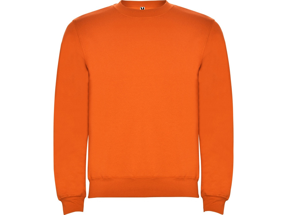 Свитшот с начесом «Clasica» детский, фото 1