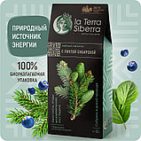 Чайный напиток со специями из серии "La Terra Siberra" с пихтой сибирской 60 гр., фото 5