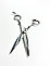 Парикмахерские ножницы для стрижки волос "SwingCut - SK/6.1", фото 2