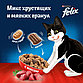 Феликс Сухой корм для кошек с мясом, 200 г, фото 2