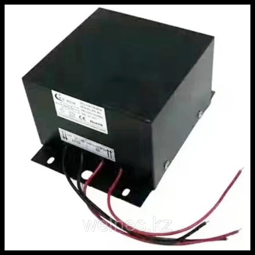 Понижающий трансформатор для освещения в бассейне (мощность = 600W, 220V-12V)