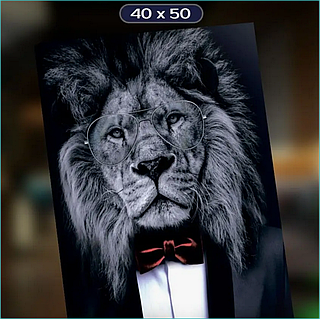 Қырылған ересектерге арналған фотосуреттер