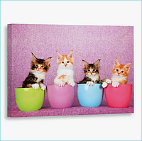 Картина на холсте "Четыре котенка" (30х40)