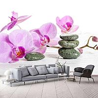 Цветки розовой орхидеи и камни 10-207
