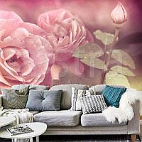 Куст роз розовых 10-256
