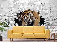 Тигр в стене 3D 10-990