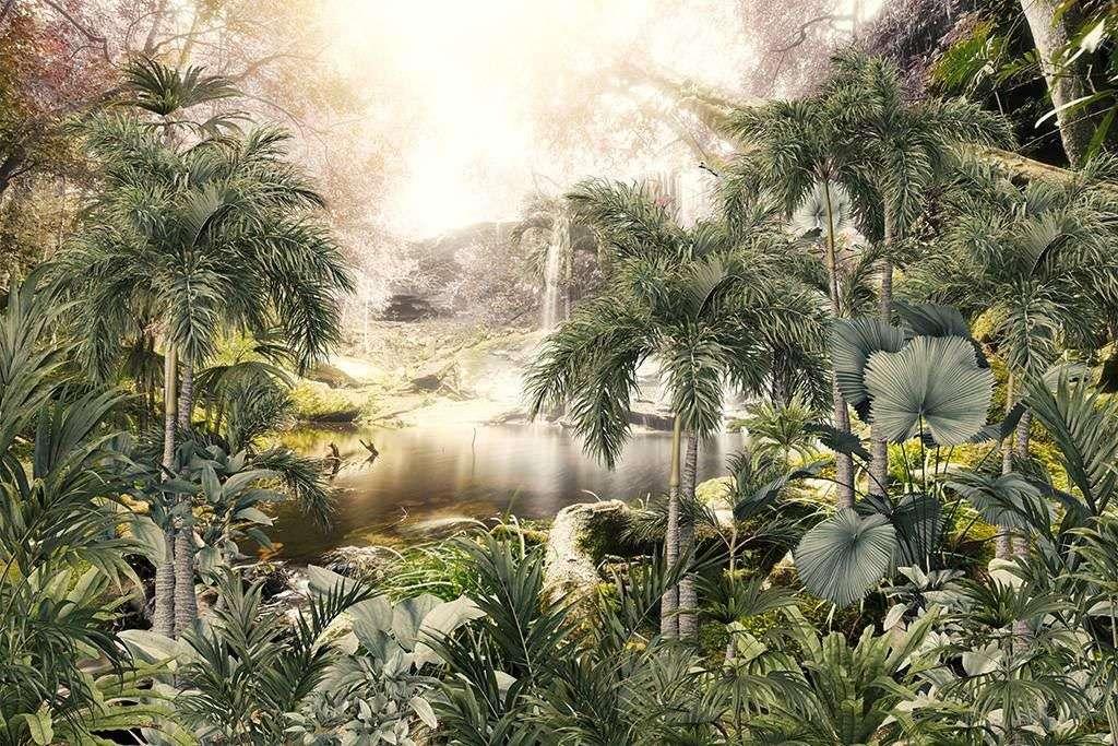 Волшебный тропический лес 9-1704 - фото 2 - id-p111672863