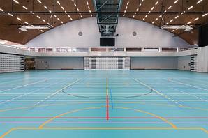 Спортивное покрытие  60 мм