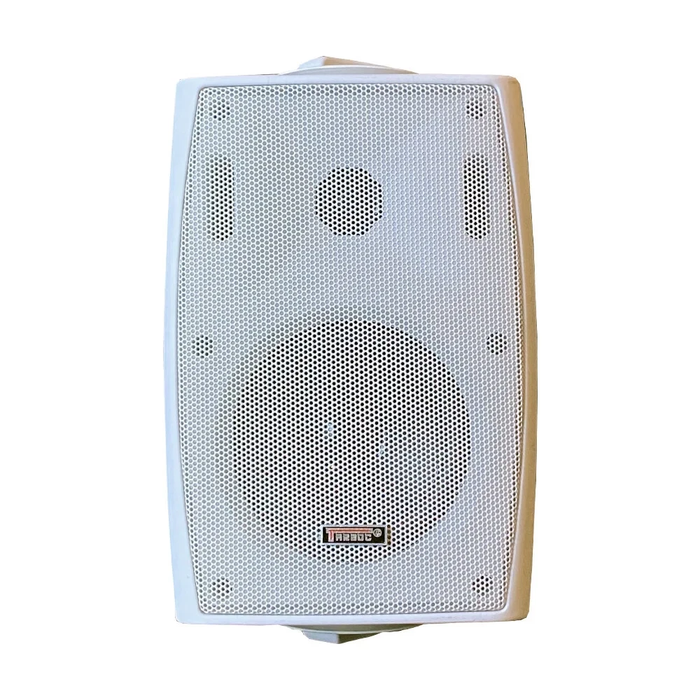 Настенная акустическая система FT-204 белый 20W