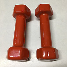 Виниловые гантели (пара)- 2LB+2LB (1кг+1кг), фото 3