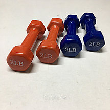 Виниловые гантели (пара)- 2LB+2LB (1кг+1кг), фото 3