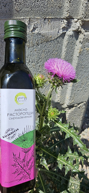 Шарлар пенисаға енгізіледі