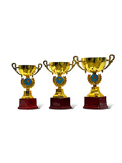 Кубки Флаг Чаша (наградная символика)