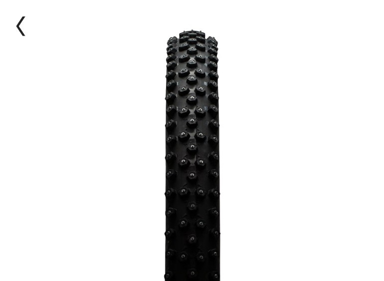 Schwalbe Ice Spiker Pro 29" - фото 1 - id-p46918727