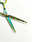 Парикмахерские ножницы для стрижки волос "Flamingo - Green A1-55TGR", фото 2