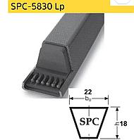 Ремень клиновой SPC5830