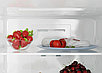 Холодильник Candy CCRN 6200C, фото 6