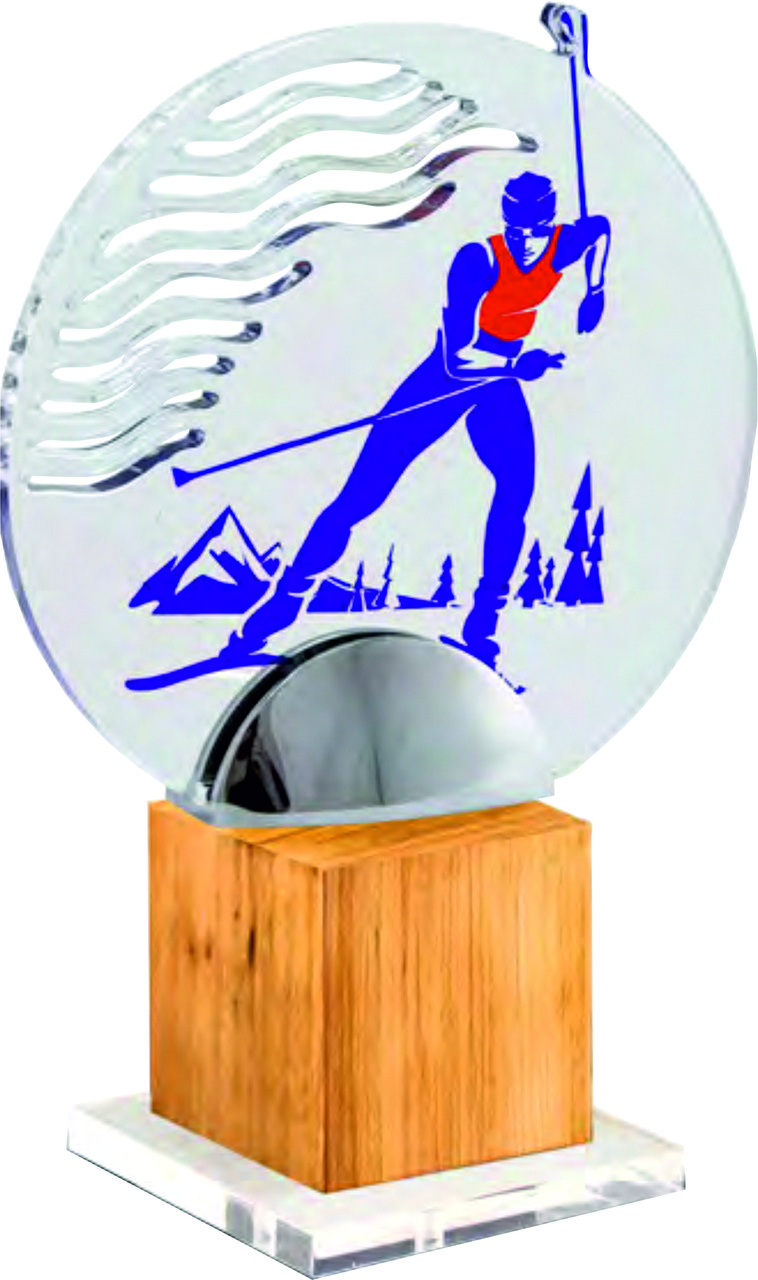 Акриловая награда Лыжный спорт - фото 1 - id-p111744621