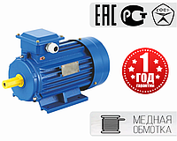 Электродвигатель асинхронный трехфазный АИР100L8