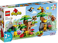 Конструктор LEGO DUPLO Town Дикие животные Южной Америки