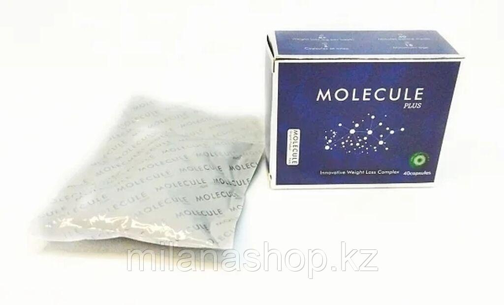 Molecule Plus ( Молекула Плюс ) картонная упаковка 40 капсул