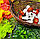 Искусственные грибы  красные муляж, фото 7