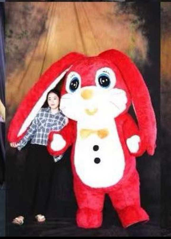 Надувной костюм Кролик с длинными ушами 2 м красный - фото 1 - id-p111777262