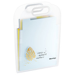 Папка 6 отделений Berlingo "Eco", А4, вертикальная, с ручкой, 650мкм, прозрачная, с рисунком