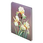 Тетрадь 80л., А5, клетка на гребне BG "Flower gallery", глянцевая ламинация, твердая обложка, фото 5