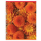 Тетрадь 80л., А5, клетка на гребне BG "Perfect flower", двойная обложка, фото 3