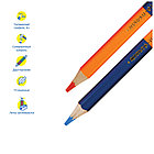 Карандаши цветные Мульти-Пульти "Енот в космосе", 12цв., 06шт., двусторонние, утолщенные, заточен.,, фото 5