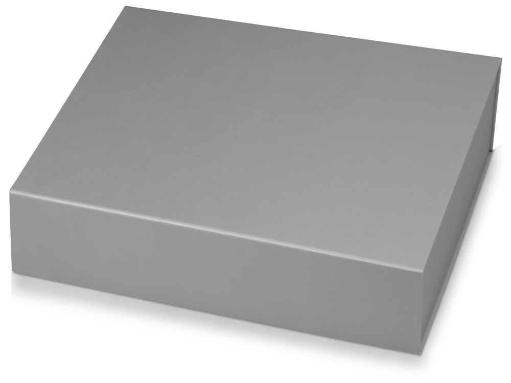 Подарочная коробка Giftbox большая, серебристый - фото 1 - id-p111787189