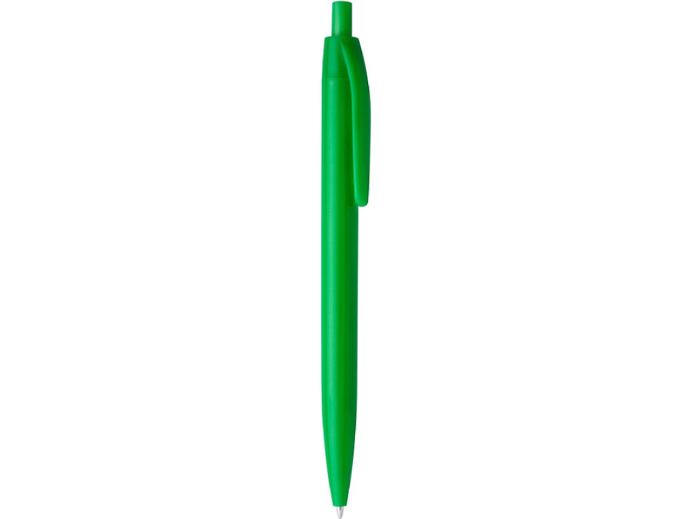 Ручка пластиковая шариковая STIX, синие чернила, папоротник - фото 3 - id-p111820409