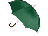 Зонт-трость Радуга, зеленый, фото 2