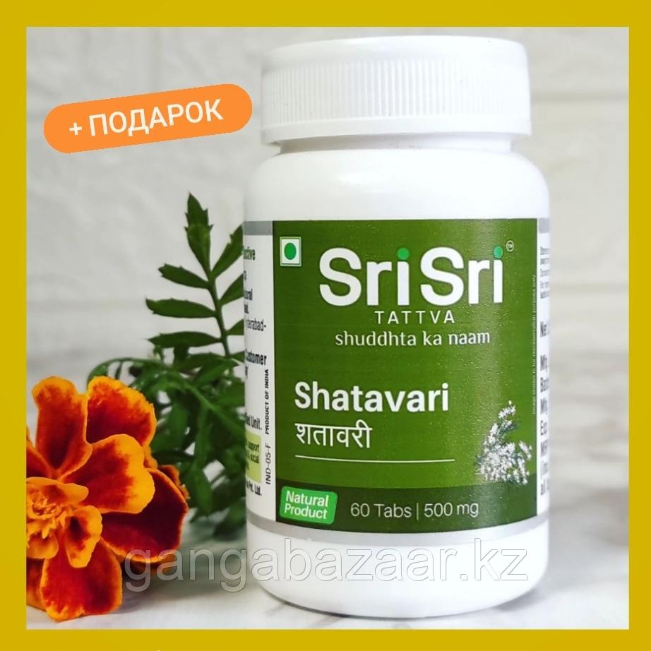 Шатавари Шри Шри Shatavari Sri Sri 60т - для улучшения женского здоровья, при гормональных нарушениях
