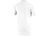 Рубашка поло Primus женская, белый, фото 2