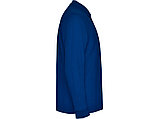 Рубашка поло Carpe мужская с длинным рукавом, королевский синий, фото 4