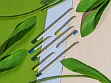 Набор растущих карандашей mini, 2 шт с семенами базилика и мяты, фото 6